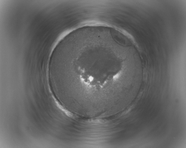 X0000081601231200701291353