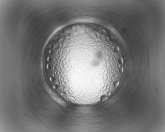 X0000081601232200701291353