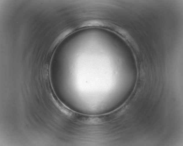 X0000081601233200701291353