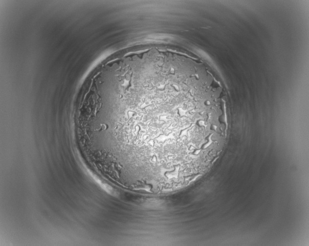 X0000081601235200701291353