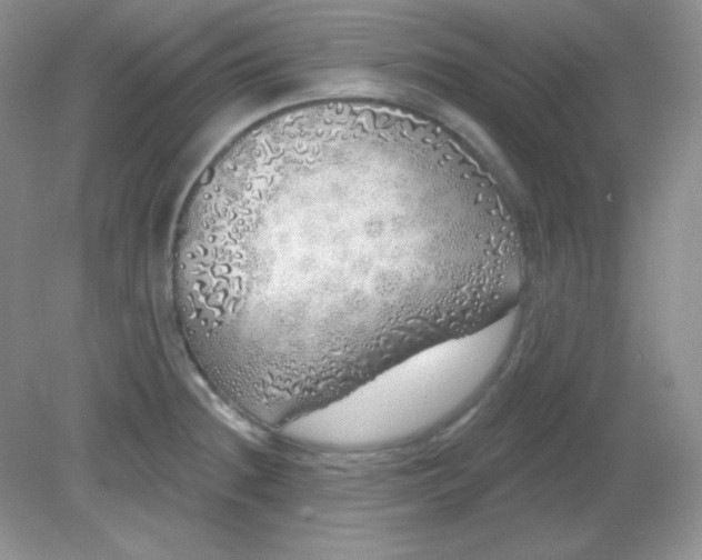 X0000081601236200701291353