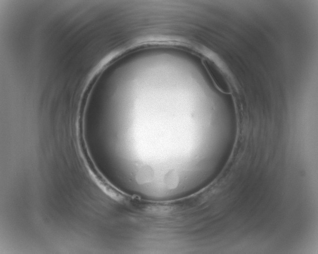 X0000081601237200701291353