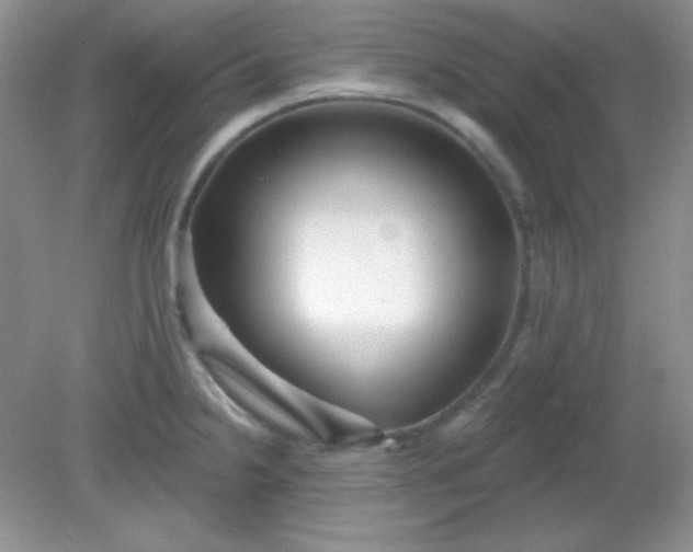 X0000081601238200701291353