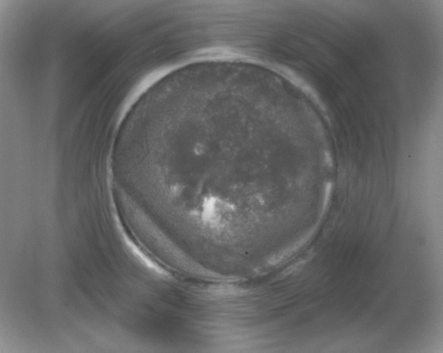 X0000081601239200701291353