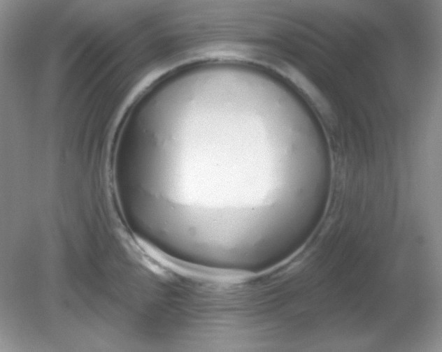 X0000081601240200701291353