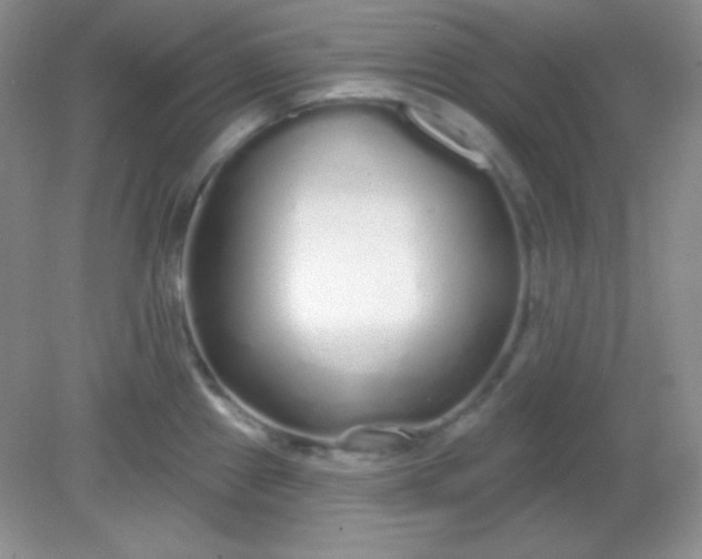 X0000081601241200701291353