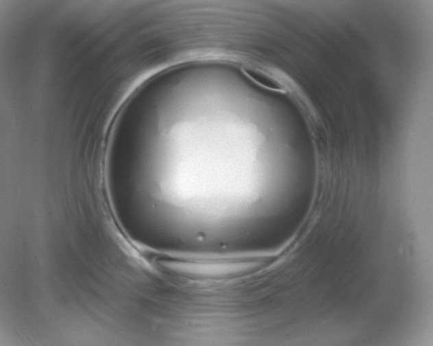 X0000081601244200701291353