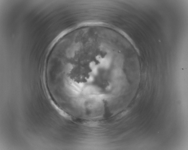 X0000081601245200701291353