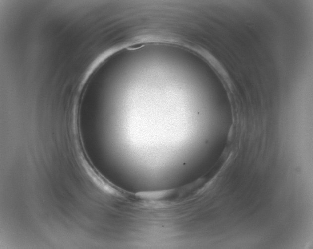 X0000081601246200701291353