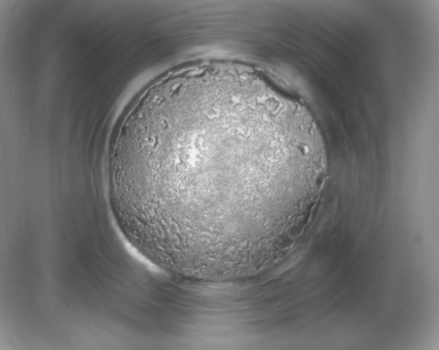 X0000081601247200701291353