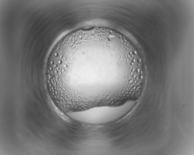 X0000081601248200701291353