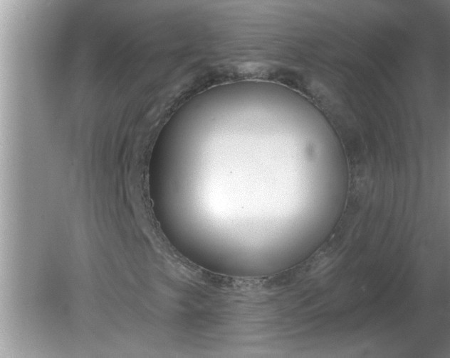 X0000081601249200701291352