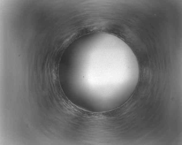 X0000081601250200701291352