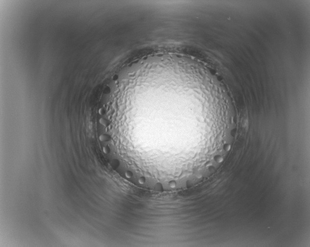 X0000081601252200701291352