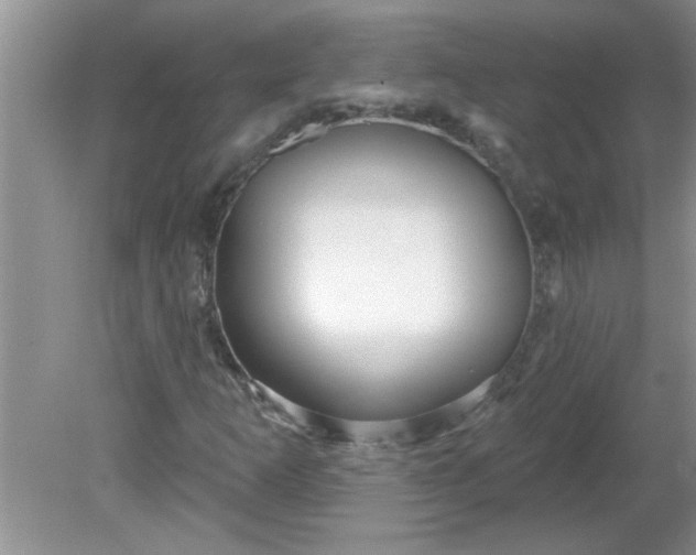 X0000081601253200701291352