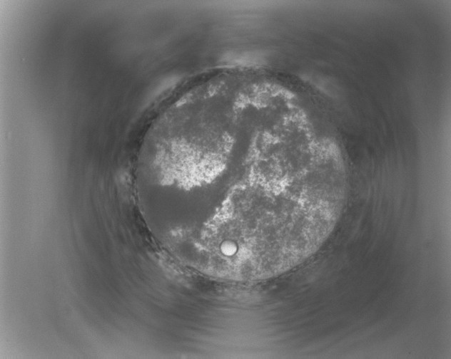 X0000081601254200701291352