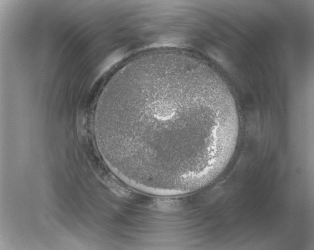 X0000081601258200701291352