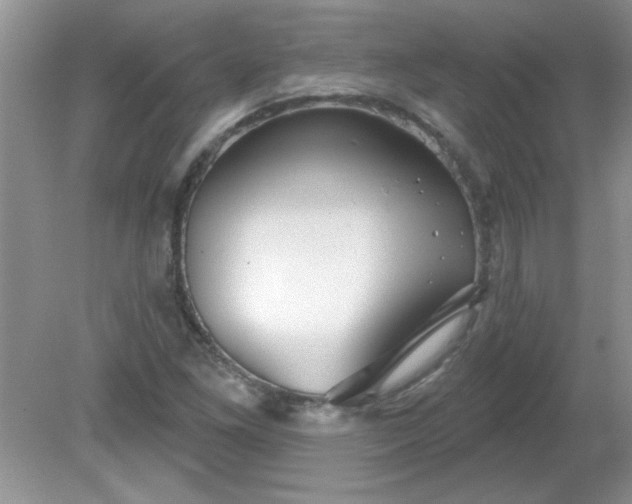 X0000081601261200701291352