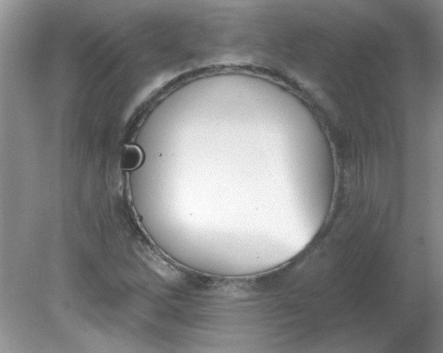 X0000081601262200701291352