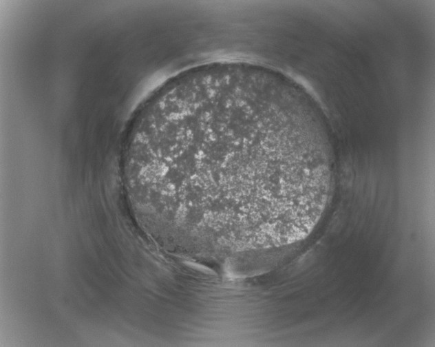 X0000081601263200701291352