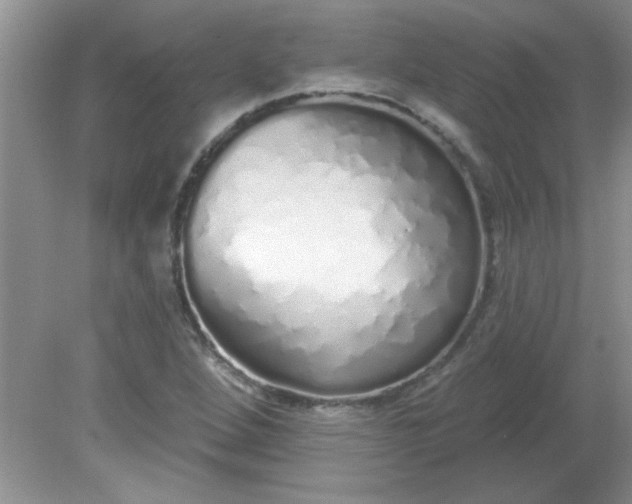 X0000081601264200701291352