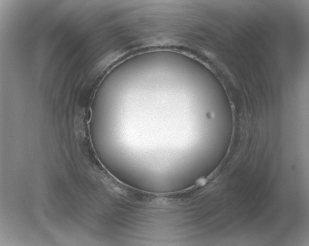 X0000081601265200701291352