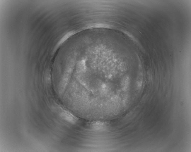 X0000081601266200701291352