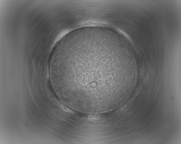 X0000081601267200701291352