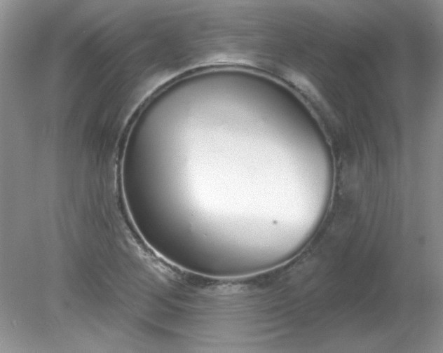 X0000081601268200701291352