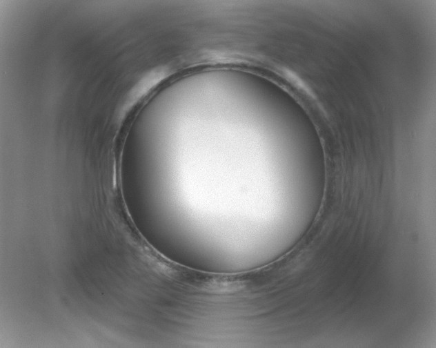 X0000081601269200701291352