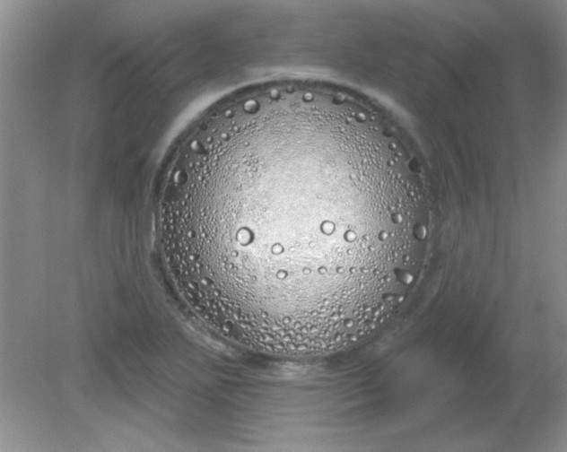 X0000081601271200701291352