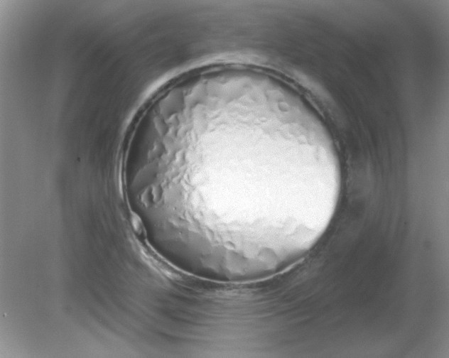 X0000081601272200701291352