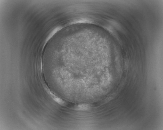 X0000081601274200701291352