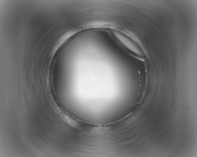 X0000081601277200701291352