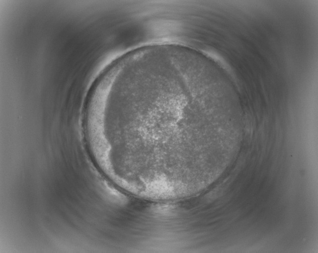 X0000081601278200701291352