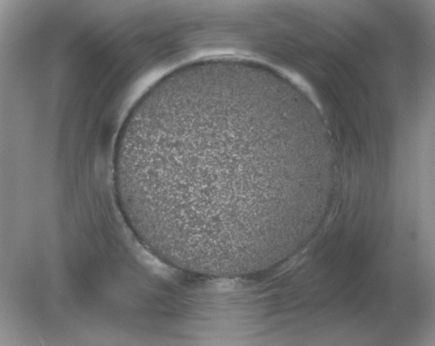 X0000081601279200701291352