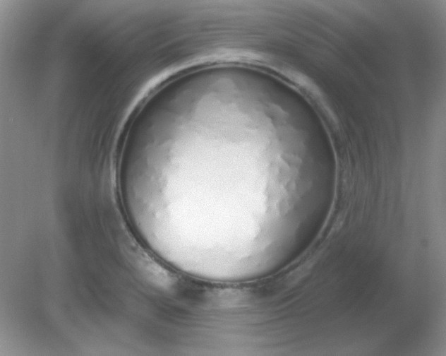 X0000081601280200701291352