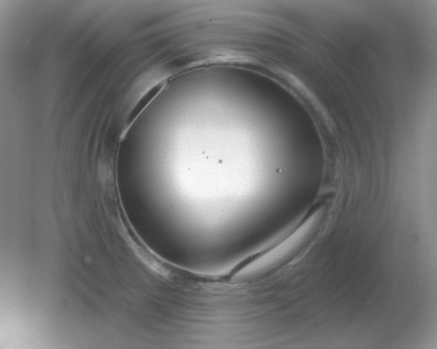 X0000081601281200701291352