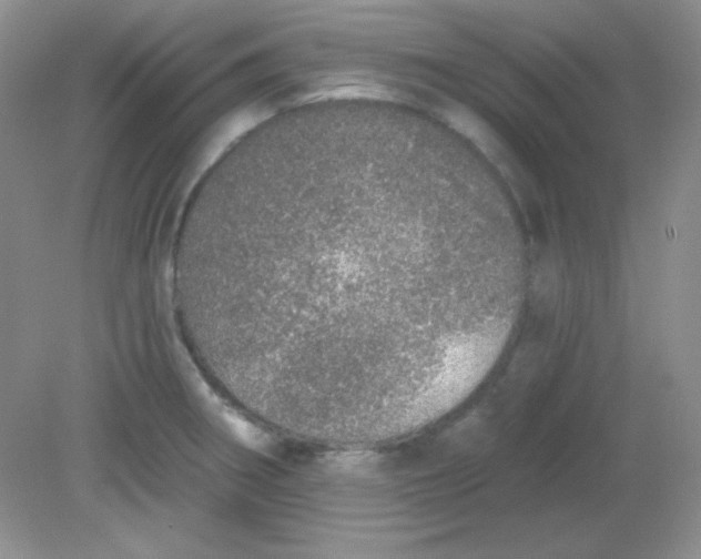 X0000081601282200701291352