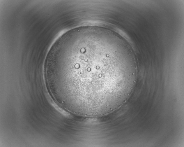 X0000081601283200701291352