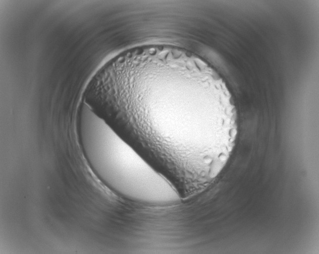 X0000081601284200701291352