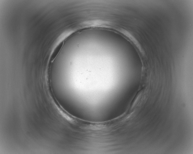 X0000081601285200701291352