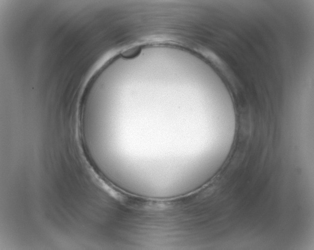 X0000081601286200701291352