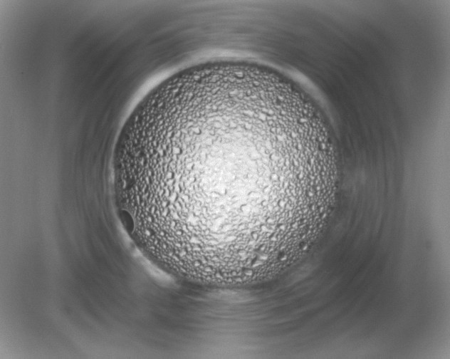 X0000081601287200701291352