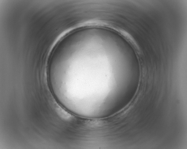 X0000081601288200701291352