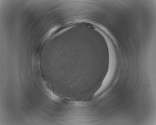 X0000081601289200701291352