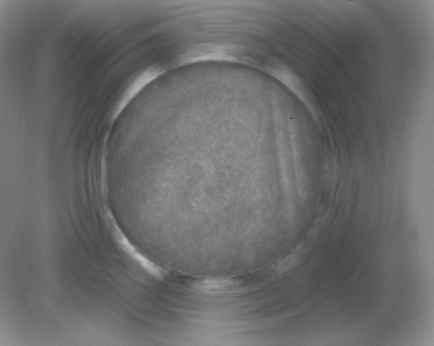 X0000081601290200701291351