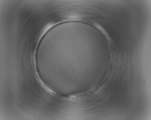 X0000081601291200701291351