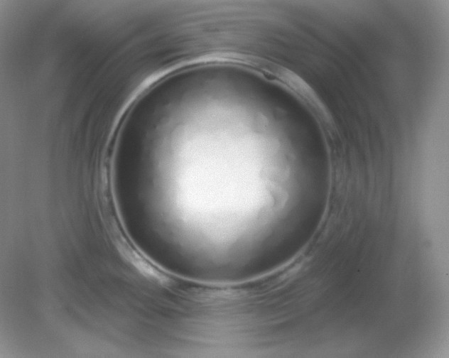 X0000081601292200701291351