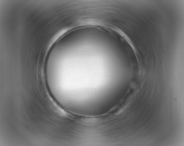 X0000081601293200701291351